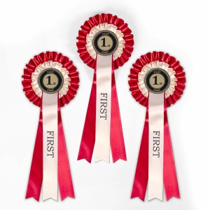 3 First Place Rosettes