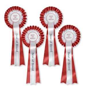 Best of Breed Pack of 4 Satin Rosettes