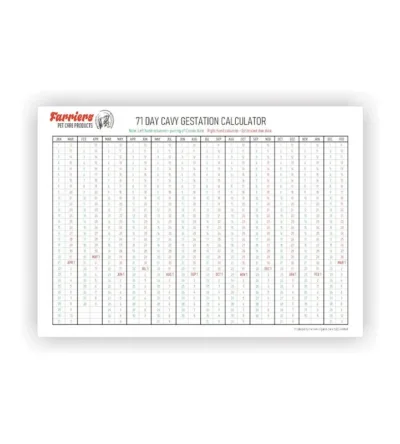 Guinea Pig Gestation Chart
