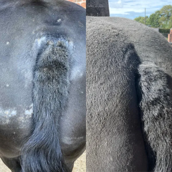 Farriers Stop Itch Benzyl Benzoate Cream for Sweet Itch - Image 3