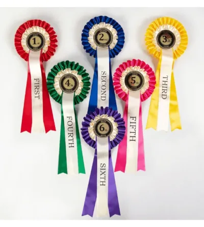 1st - 6th Place Rosettes (Set of 6)