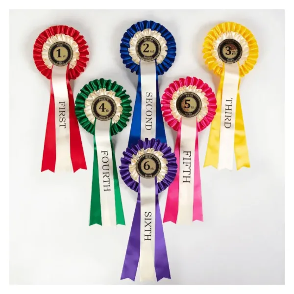 1st - 6th Place Rosettes (Set of 6)
