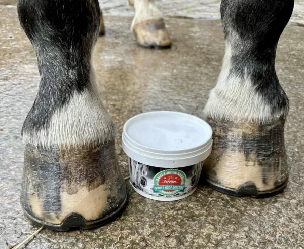 Farriers All-Weather Hoof Dressing - Image 2